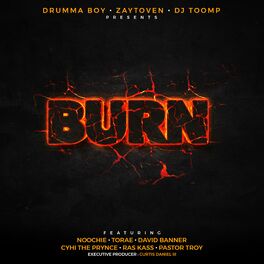 Album cover of Burn