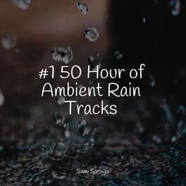 Album cover of #1 50 Hour of Ambient Rain Tracks