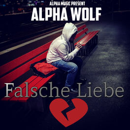 Album cover of Falsche Liebe