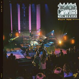 Album cover of Willow Tree (MTV Unplugged Live In Melbourne)