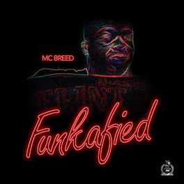 Album cover of Funkafied