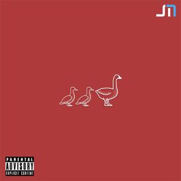 Album cover of Duck Duck Goose