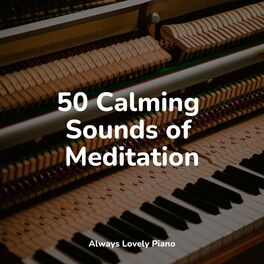 Album cover of 50 Calming Sounds of Meditation