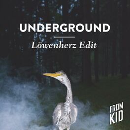 Album cover of Underground (Löwenherz Edit)