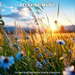 Musica Relajante - Top 50 Musica Relajante para Dormir - Musica de  Relajacion y Serenidad, Musica para Meditar, Pensamiento Positivo y Musica  Instrum: lyrics and songs