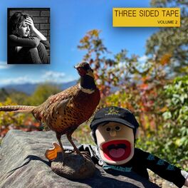 Album cover of Three Sided Tape Volume TWO