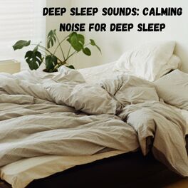 Album cover of Deep Sleep Sounds: Calming Noise for Deep Sleep