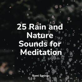 Album cover of 25 Rain and Nature Sounds for Meditation