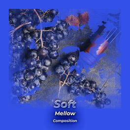 Album cover of zZz Soft Mellow Composition zZz