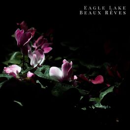 Album cover of Beaux rêves