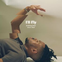 Album cover of I'll Fly