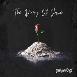 Album cover of The Diary of Jane