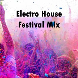 Album cover of Electro House Festival Mix