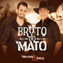 Album cover of Bruto do Mato