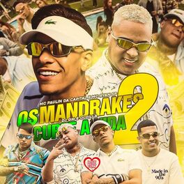 Album cover of Os Mandrake Curte a Vida 2