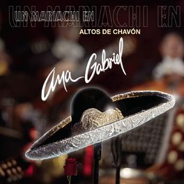 Album cover of Un Mariachi En Altos De Chavón