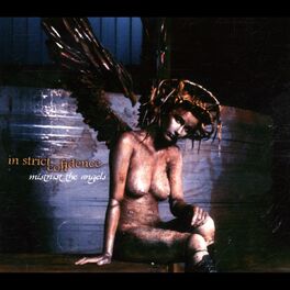 Album cover of Mistrust the Angels