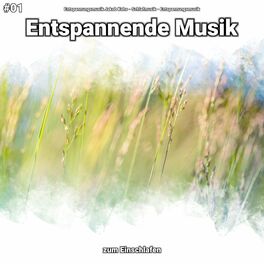 Album cover of #01 Entspannende Musik zum Einschlafen