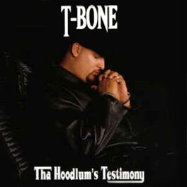 Album cover of Tha Hoodlum's Testimony