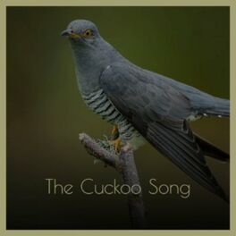 Album cover of The Cuckoo Song