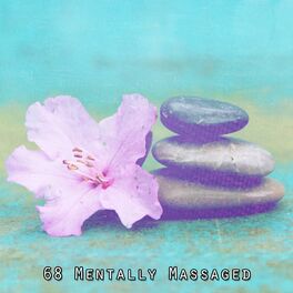 Album cover of 68 Mentally Massaged