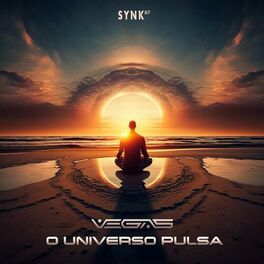 Album cover of O Universo Pulsa