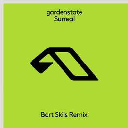 Album cover of Surreal (Bart Skils Remix)