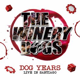 Album cover of Dog Years - Live In Santiago