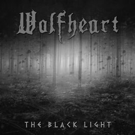 Album cover of The Black Light