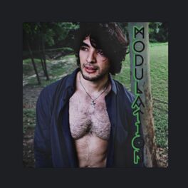 Album cover of MODULATION