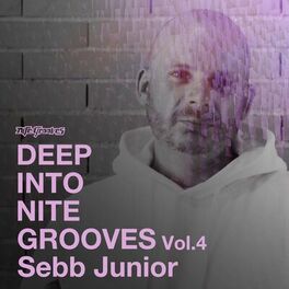 Album cover of Deep Into Nite Grooves, Vol. 4 (DJ Mix)