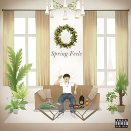 Album cover of springfeels