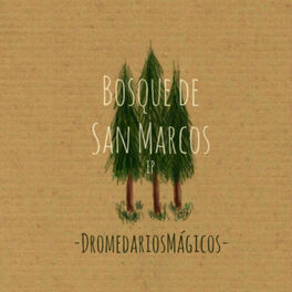 Album cover of Bosque de San Marcos