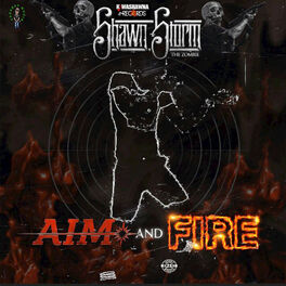Album cover of Aim & Fire
