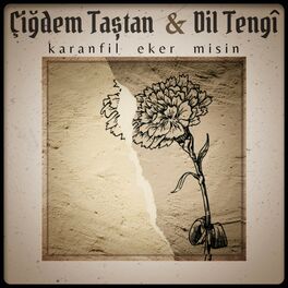 Album cover of Karanfil Eker Misin