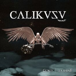 Album cover of ÇALIKUŞU