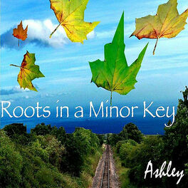 Album cover of Roots in a Minor Key