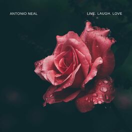 Album cover of Live Laugh Love