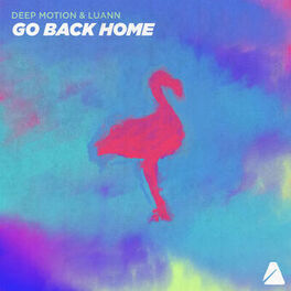 Album cover of Go Back Home