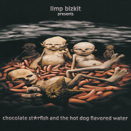 Album cover of Chocolate Starfish And The Hot Dog Flavored Water