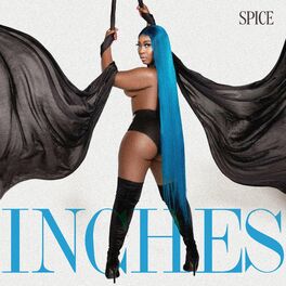 Album cover of Inches
