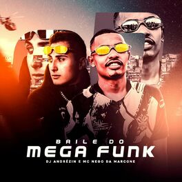 Album cover of Baile do Mega Funk