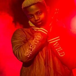 Album cover of Wild