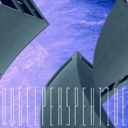 Album cover of Vogelperspektive