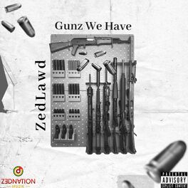 Album cover of Guns We Have