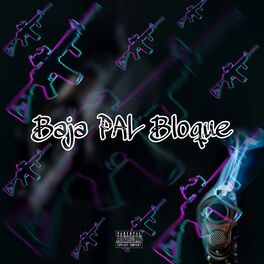 Album cover of Baja Pal Bloque