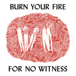 Album cover of Burn Your Fire For No Witness (Deluxe Edition)