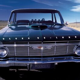 Album cover of Blues De-Luxe