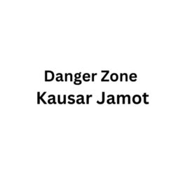Album cover of Danger Zone