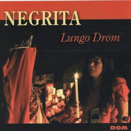 Album cover of Lungo Drom